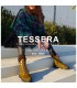 ...will take you anywhere| Winter by Tessera®